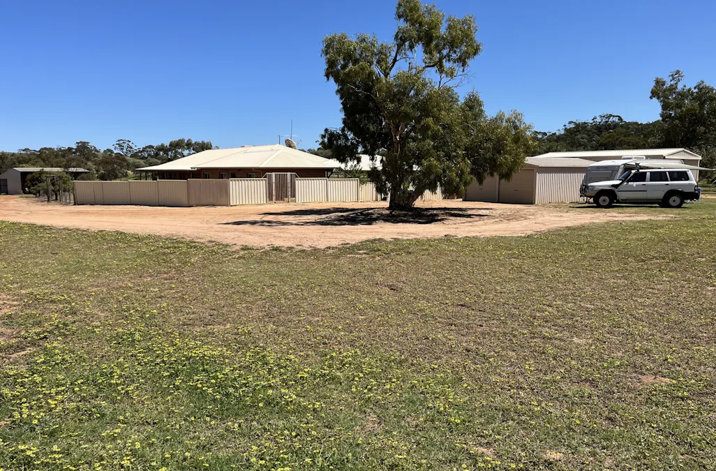 315 Eradu Road, Eradu South, WA, 6532 - Image 9