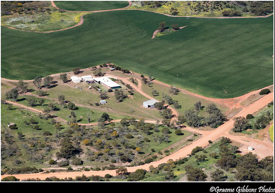 315 Eradu Road, Eradu South, WA, 6532 - Image 4