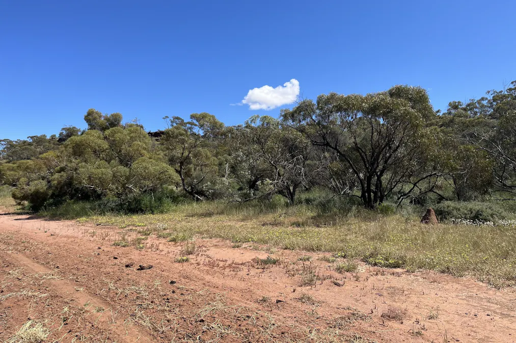 315 Eradu Road, Eradu South, WA, 6532 - Image 35
