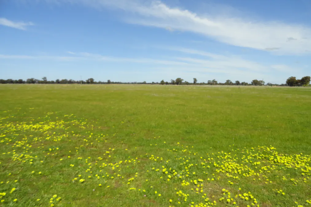 Gooramadda Road, Gooramadda, VIC, 3685 - Image 9