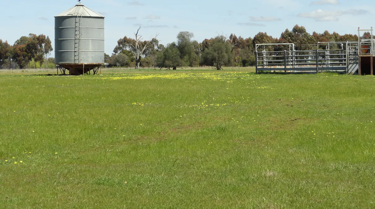 Gooramadda Road, Gooramadda, VIC, 3685 - Image 10