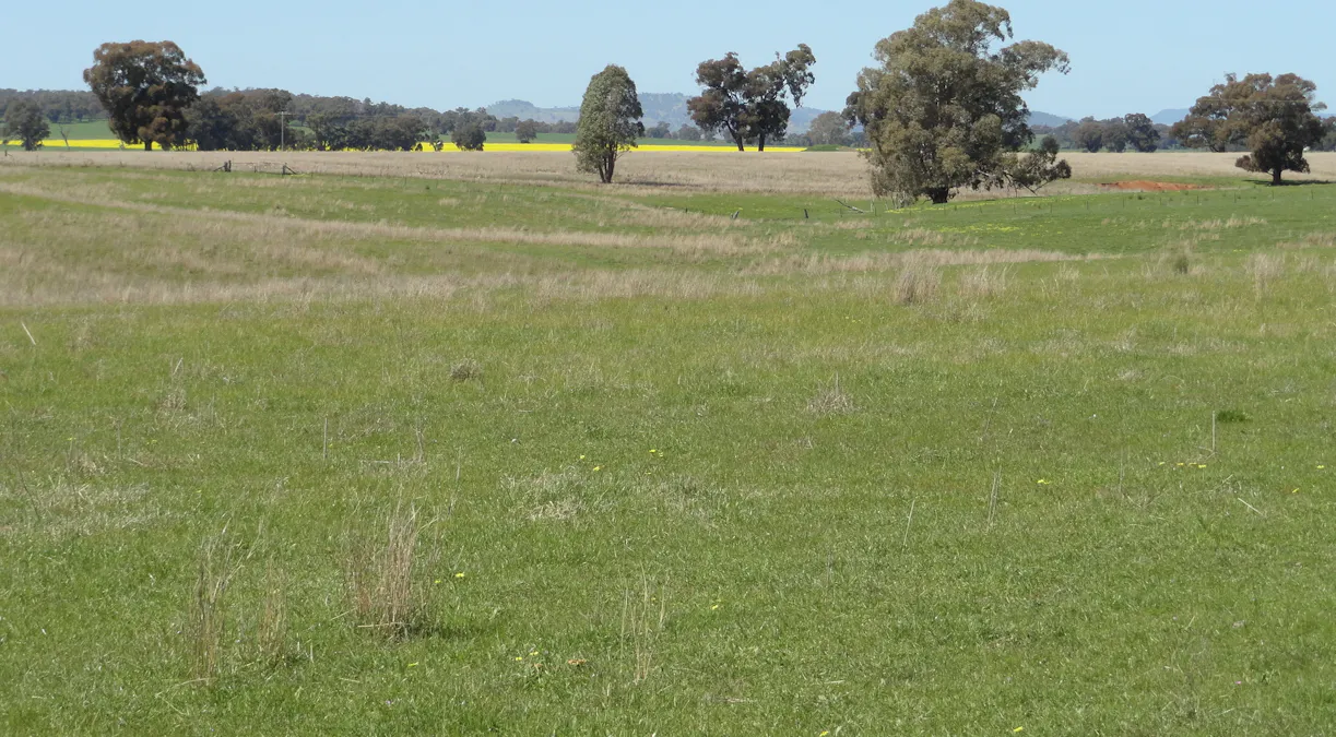 Gooramadda Road, Gooramadda, VIC, 3685 - Image 1