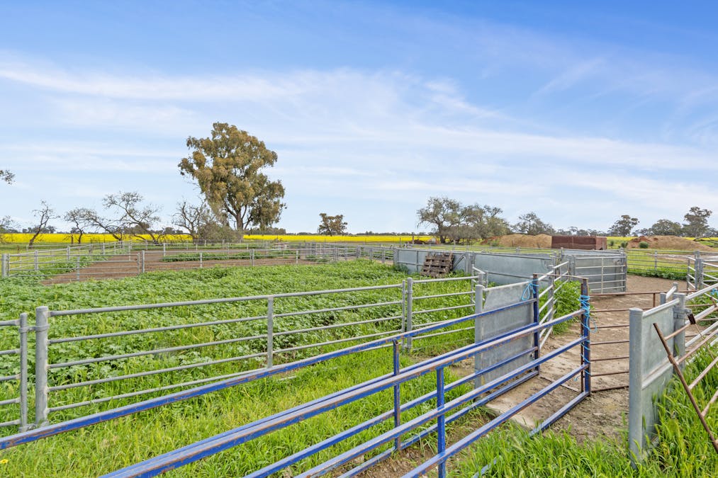 351 Willows Road, Jerilderie, NSW, 2716 - Image 3