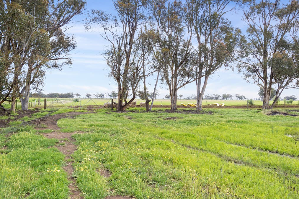 351 Willows Road, Jerilderie, NSW, 2716 - Image 5