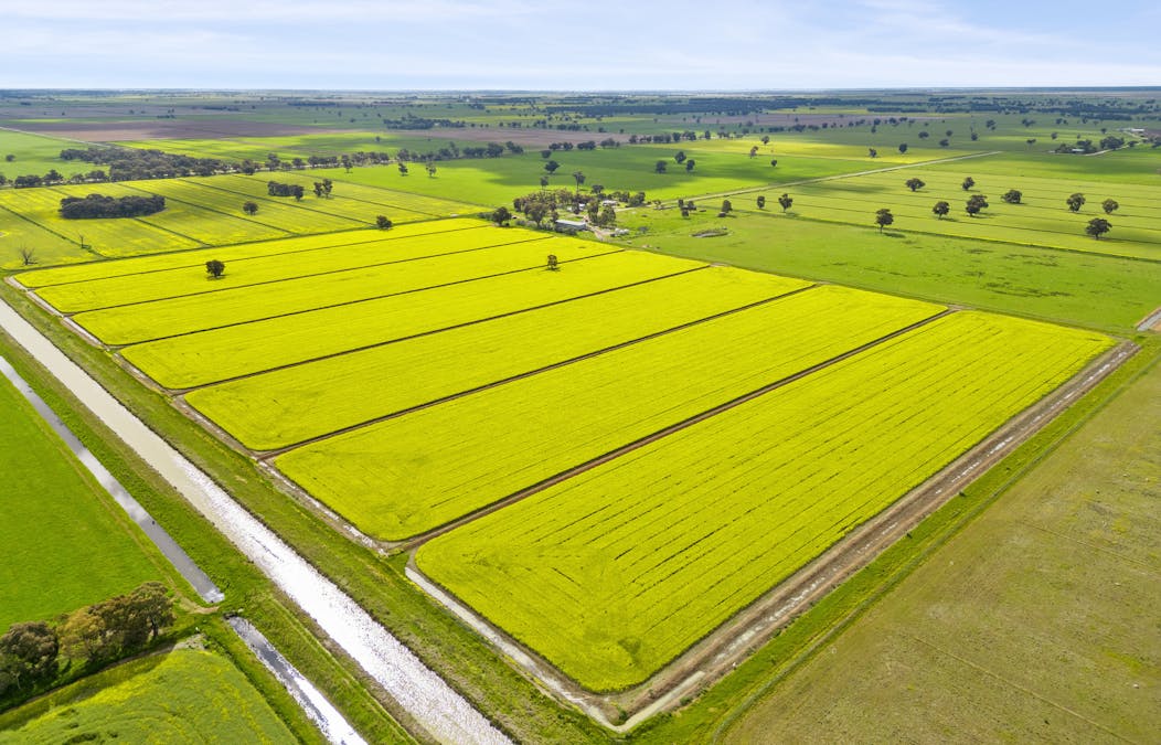 351 Willows Road, Jerilderie, NSW, 2716 - Image 6