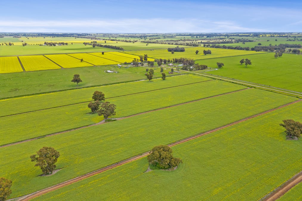 351 Willows Road, Jerilderie, NSW, 2716 - Image 7