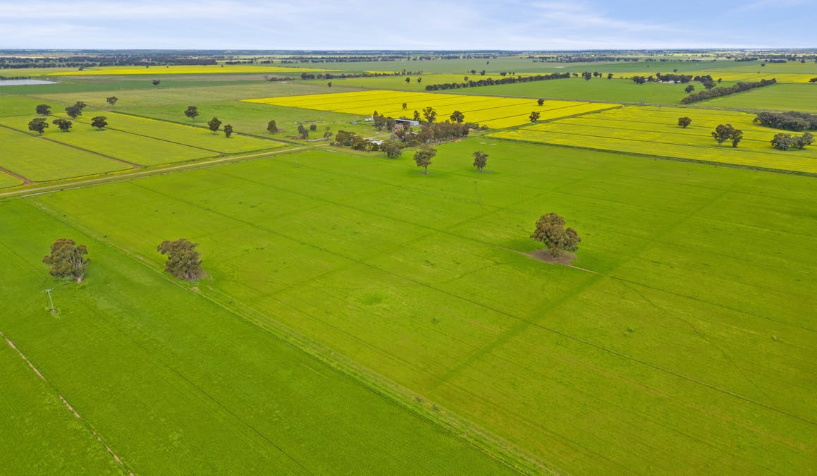 351 Willows Road, Jerilderie, NSW, 2716 - Image 11