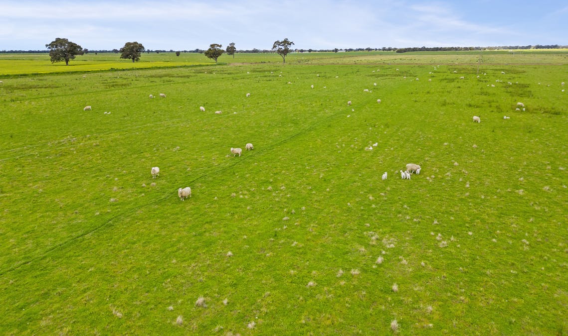 351 Willows Road, Jerilderie, NSW, 2716 - Image 12