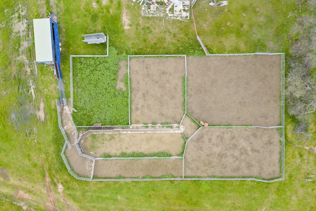 351 Willows Road, Jerilderie, NSW, 2716 - Image 4