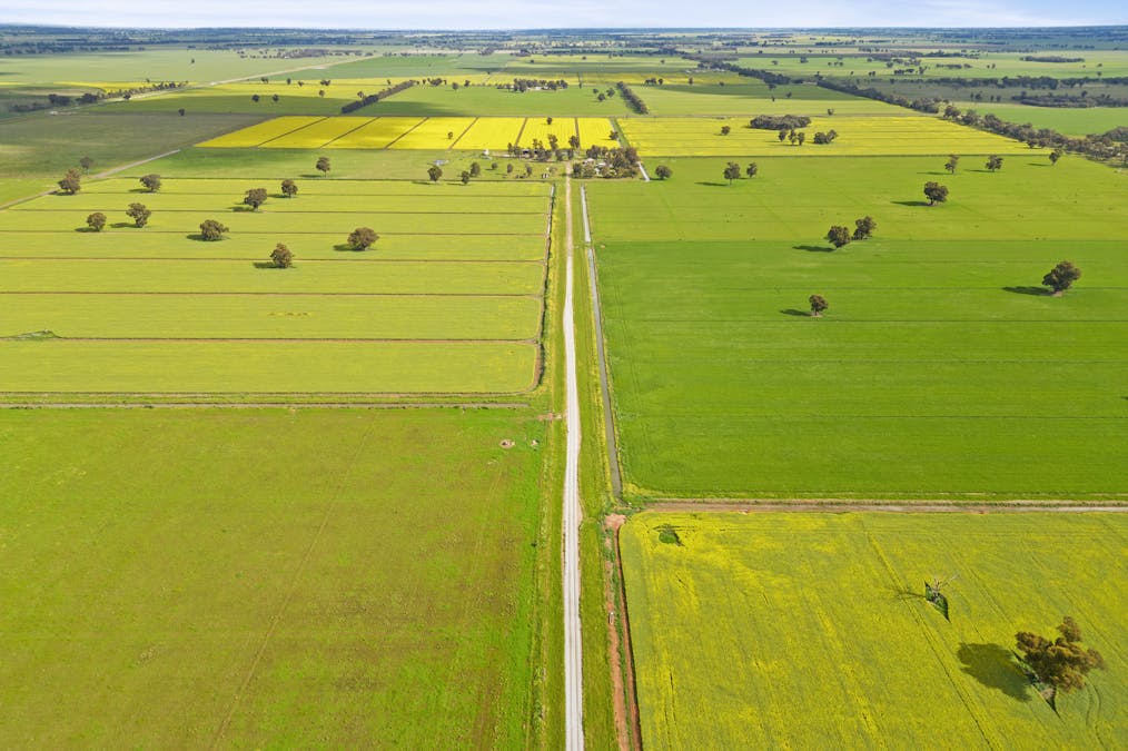 351 Willows Road, Jerilderie, NSW, 2716 - Image 15