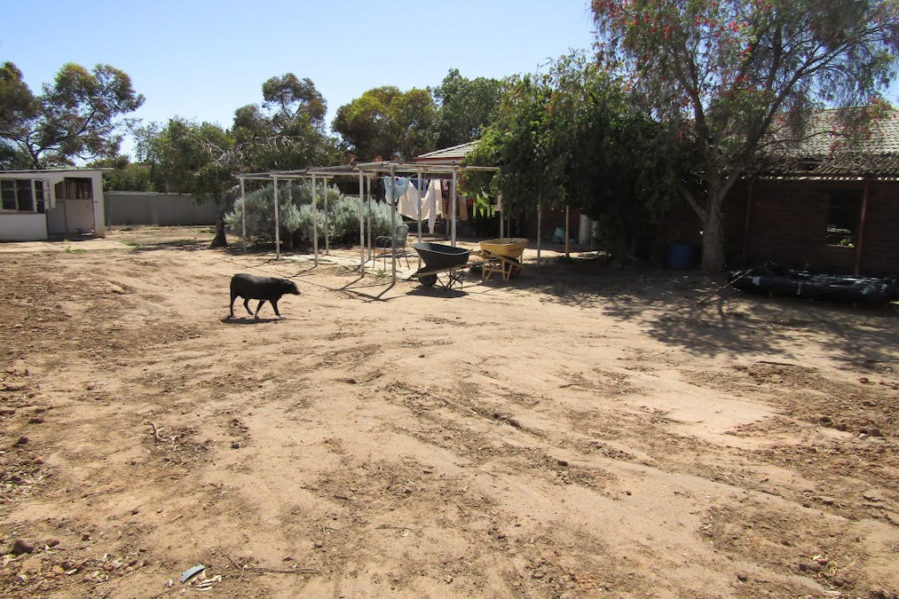 42 Jackson Way, Merredin, WA, 6415 - Image 18