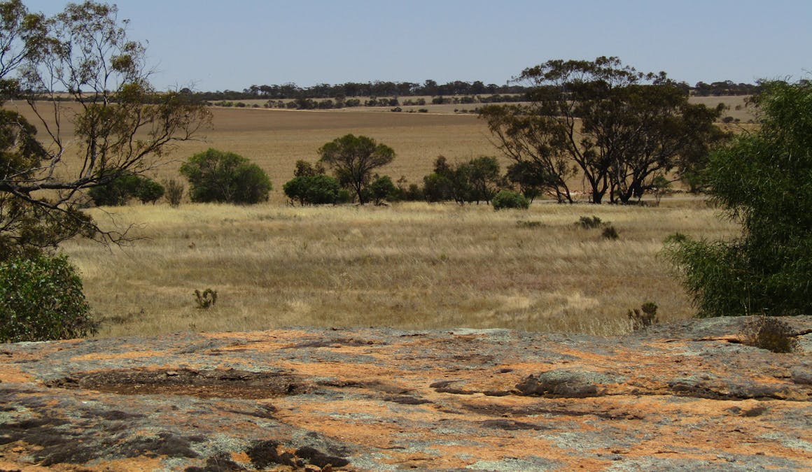 Lot 27068 Chandler-Merredin Road, Merredin, WA, 6415 - Image 3