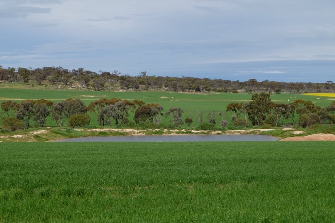 200 Slater Rd, Walyormouring, Near , Goomalling, WA, 6460 Sold