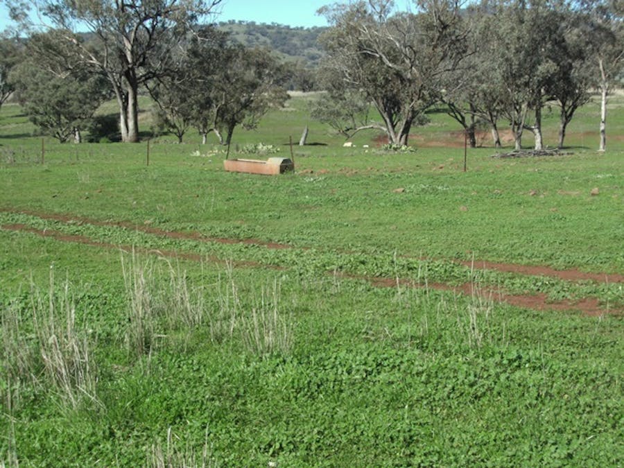 693 Swinging Ridges Road, Ardglen, NSW, 2338 - Image 7