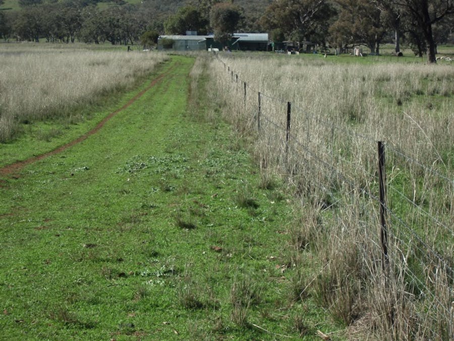 693 Swinging Ridges Road, Ardglen, NSW, 2338 - Image 8