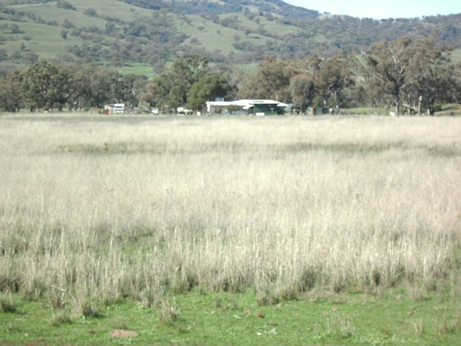 693 Swinging Ridges Road, Ardglen, NSW, 2338 - Image 9