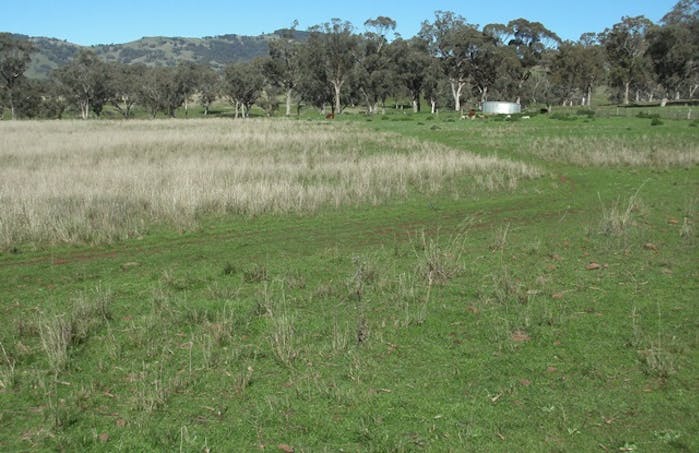 693 Swinging Ridges Road, Ardglen, NSW, 2338 - Image 1