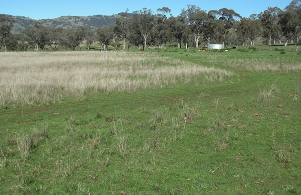 693 Swinging Ridges Road, Ardglen, NSW, 2338 - Image 1