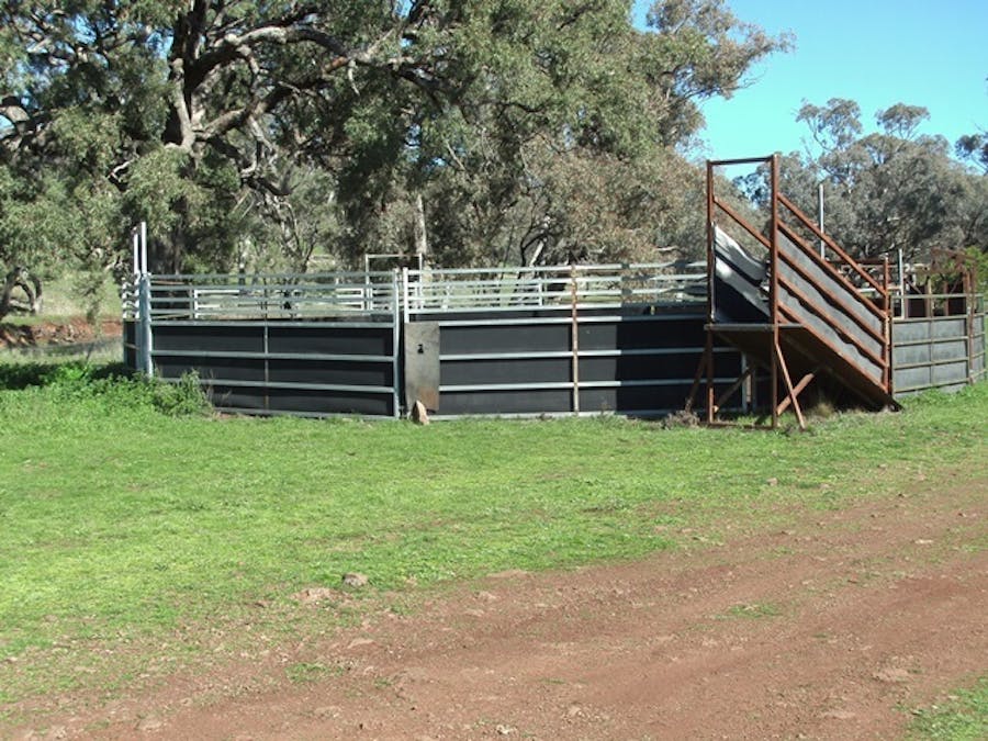693 Swinging Ridges Road, Ardglen, NSW, 2338 - Image 5