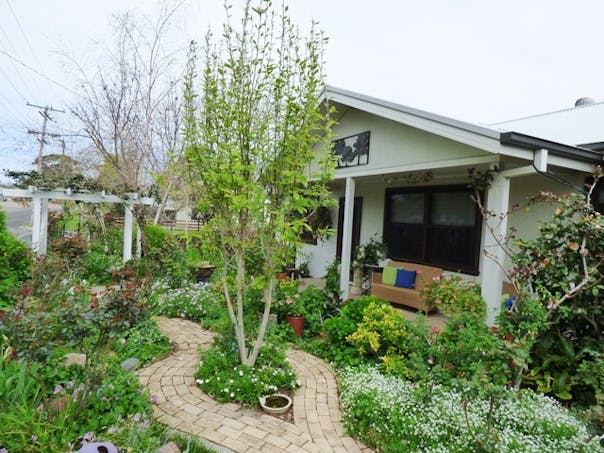 49 Waverley Street, Scone, NSW, 2337 - Image 1