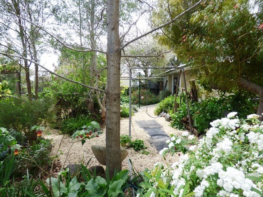 49 Waverley Street, Scone, NSW, 2337 - Image 21