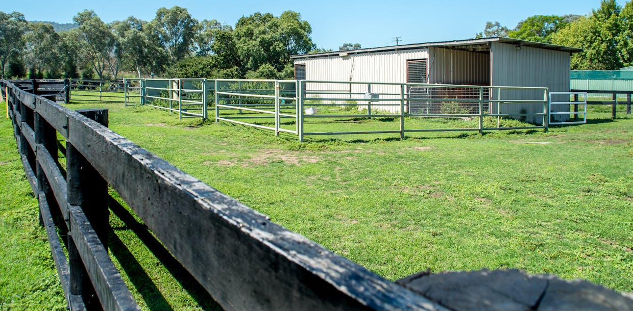 13 SHERWOOD Street, Scone, NSW, 2337 - Image 2
