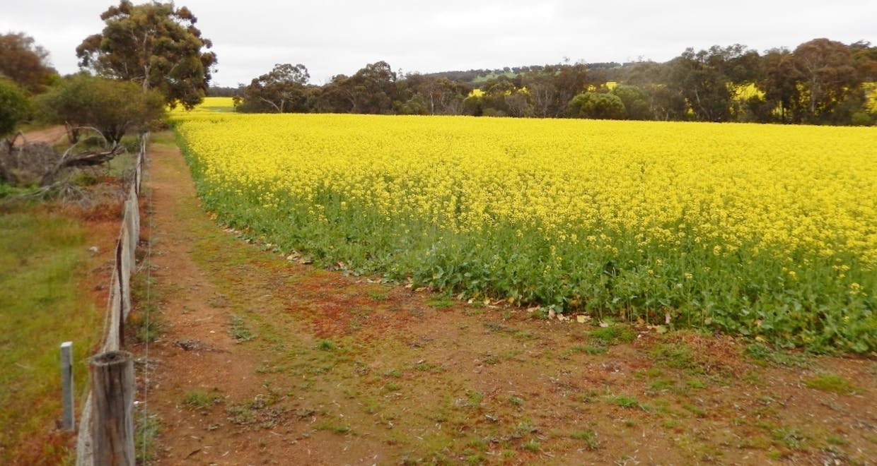 Lot 106 Berry Brow Road, Bakers Hill, WA, 6562 - Image 16