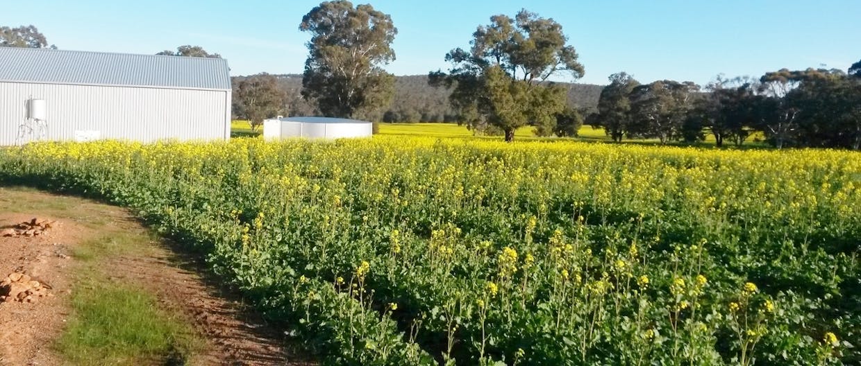 Lot 106 Berry Brow Road, Bakers Hill, WA, 6562 - Image 1