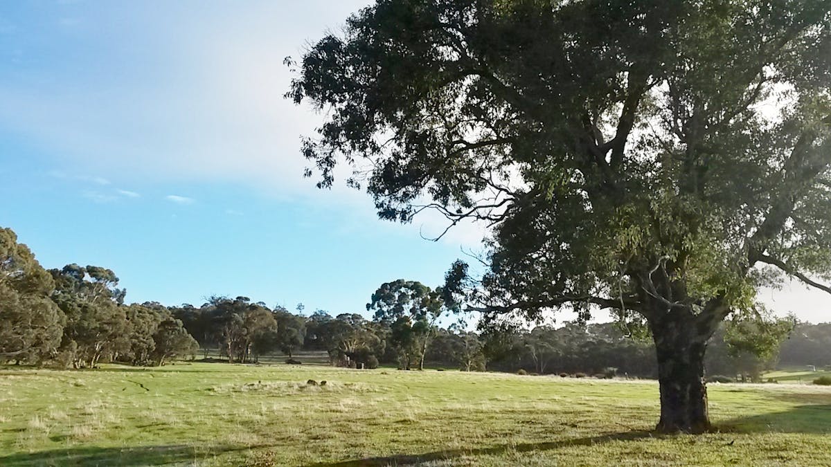 Lot 106 Berry Brow Road, Bakers Hill, WA, 6562 - Image 9