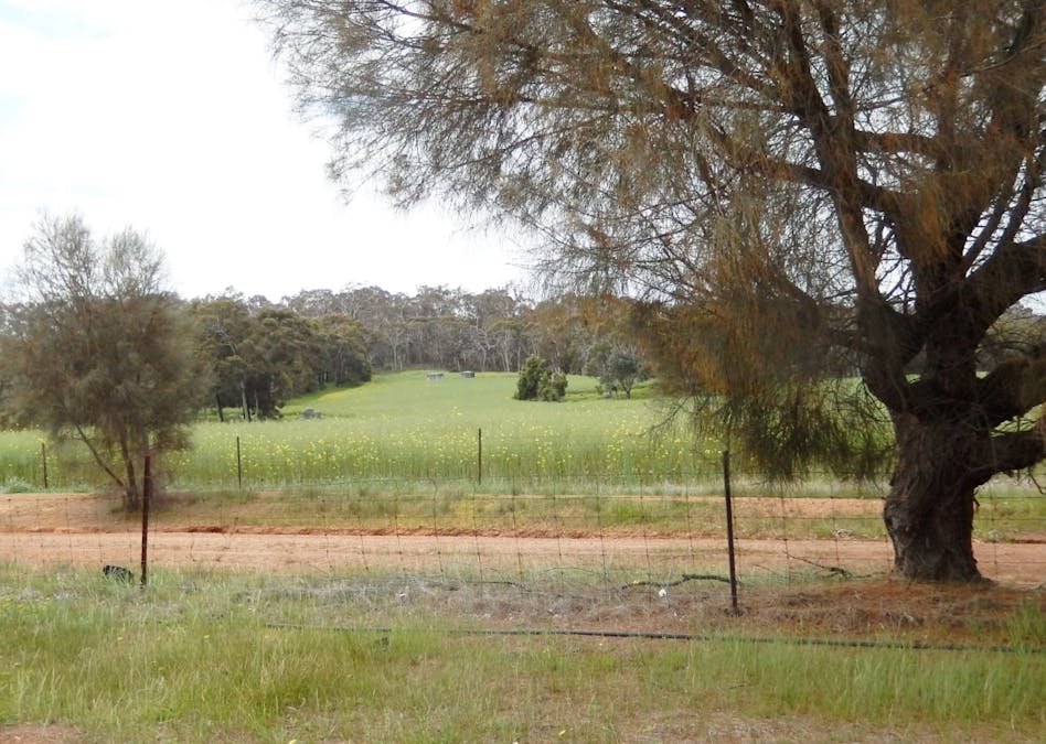 Lot 106 Berry Brow Road, Bakers Hill, WA, 6562 - Image 11