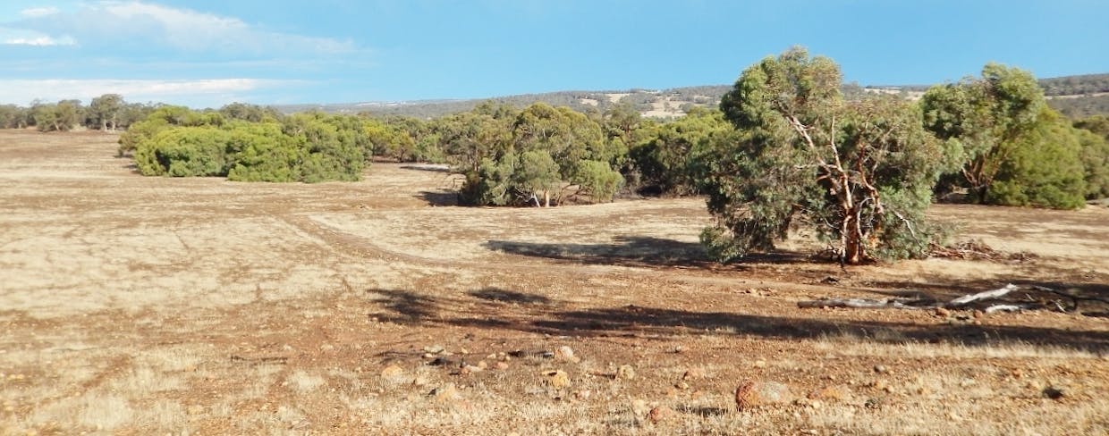 Lot 106 Berry Brow Road, Bakers Hill, WA, 6562 - Image 15