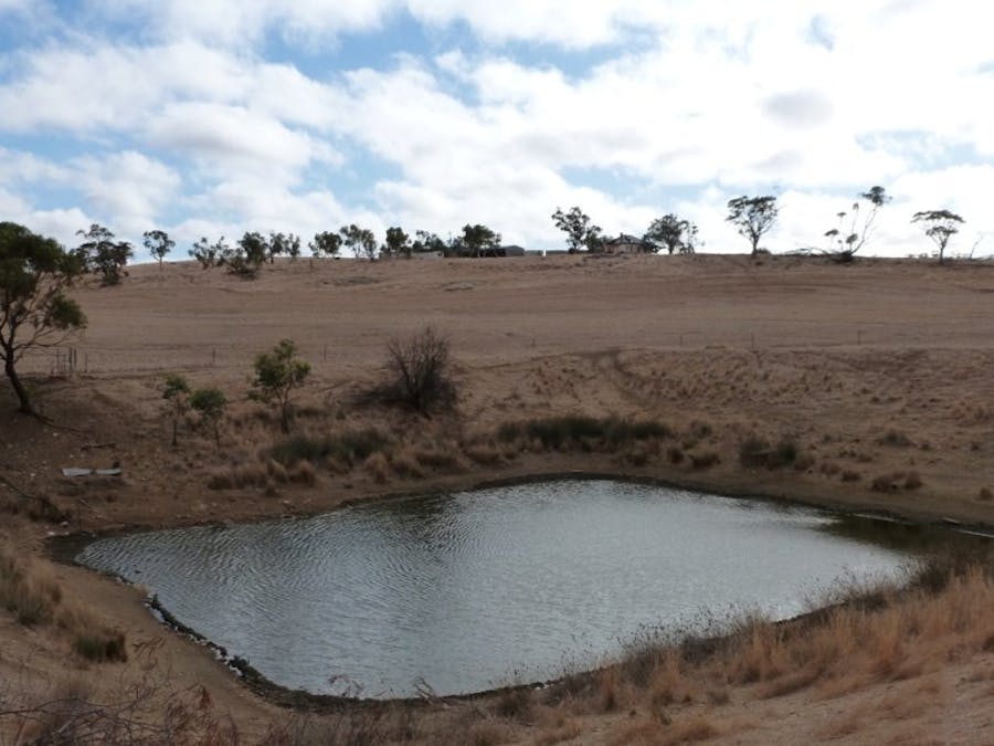 131 Northam- York Road, Northam, WA, 6401 - Image 3