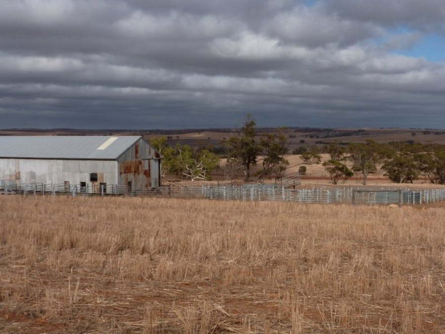 131 Northam- York Road, Northam, WA, 6401 - Image 4