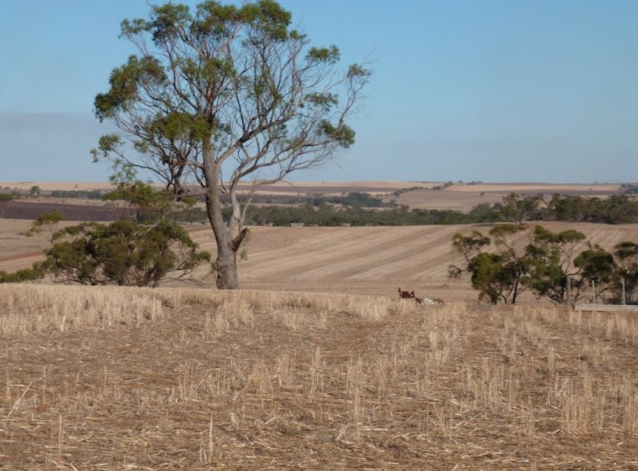 131 Northam- York Road, Northam, WA, 6401 - Image 5