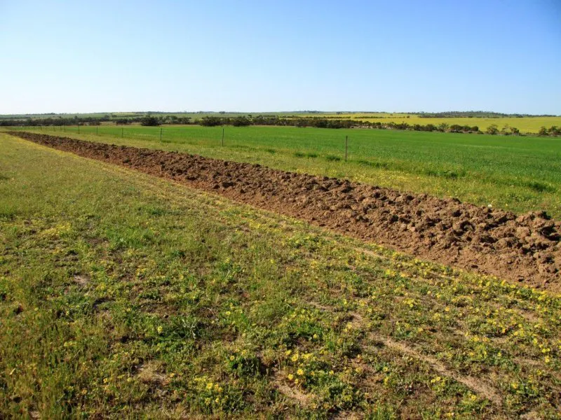 3929 Calingiri-Goomalling Road, Goomalling, WA, 6460 - Image 3