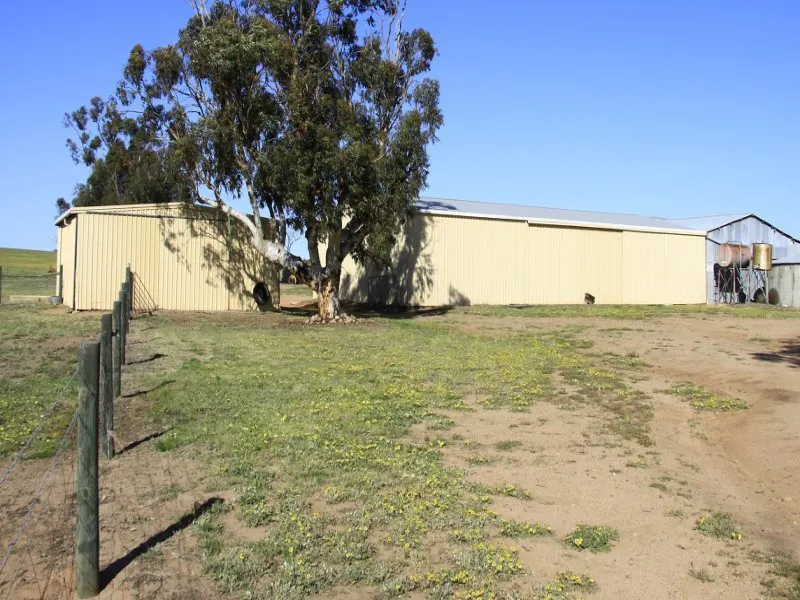 3929 Calingiri-Goomalling Road, Goomalling, WA, 6460 - Image 5