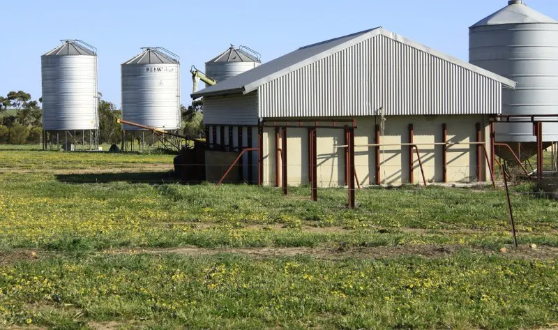 3929 Calingiri-Goomalling Road, Goomalling, WA, 6460 - Image 6