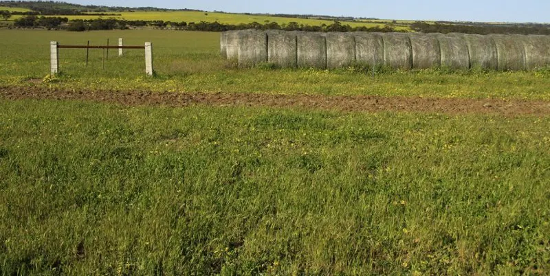 3929 Calingiri-Goomalling Road, Goomalling, WA, 6460 - Image 11