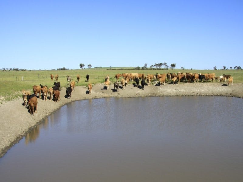 3929 CalingiriGoomalling Road, Goomalling, WA, 6460 Sold Elders Real Estate