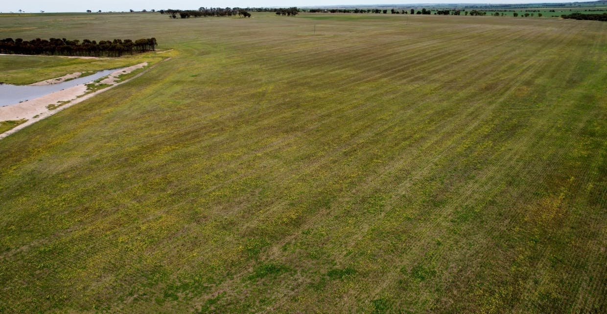 Lot 11505 Bungulla Road, North Tammin, WA, 6409 - Image 1