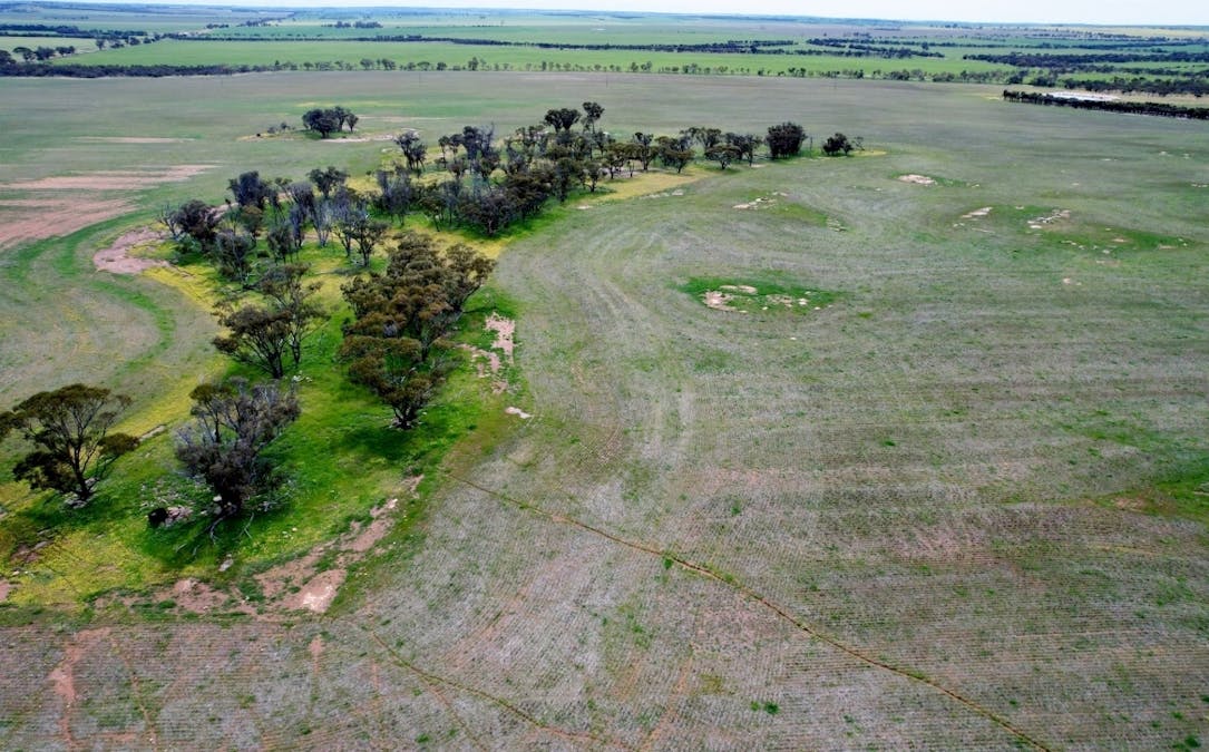 Lot 11505 Bungulla Road, North Tammin, WA, 6409 - Image 4