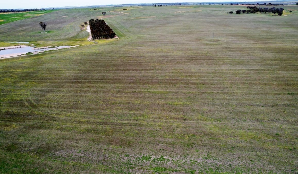 Lot 11505 Bungulla Road, North Tammin, WA, 6409 - Image 6