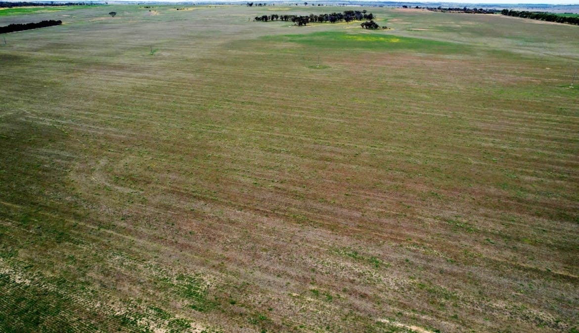 Lot 11505 Bungulla Road, North Tammin, WA, 6409 - Image 7