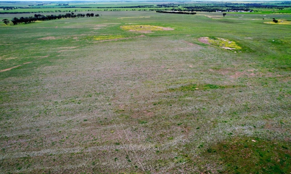 Lot 11505 Bungulla Road, North Tammin, WA, 6409 - Image 10