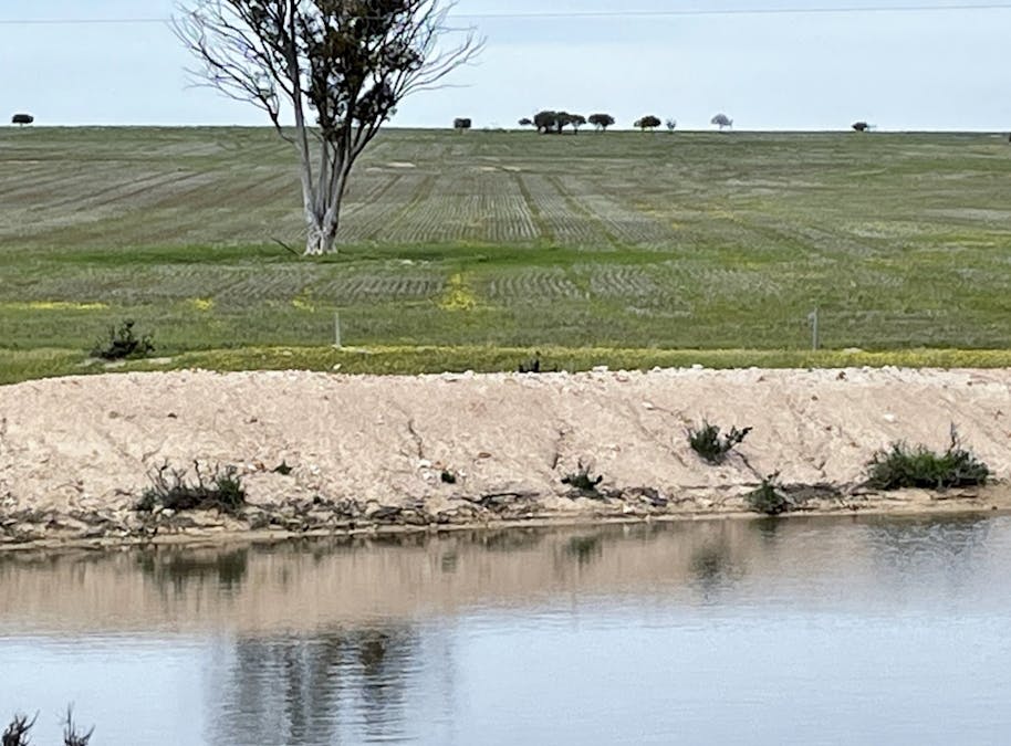 Lot 11505 Bungulla Road, North Tammin, WA, 6409 - Image 13