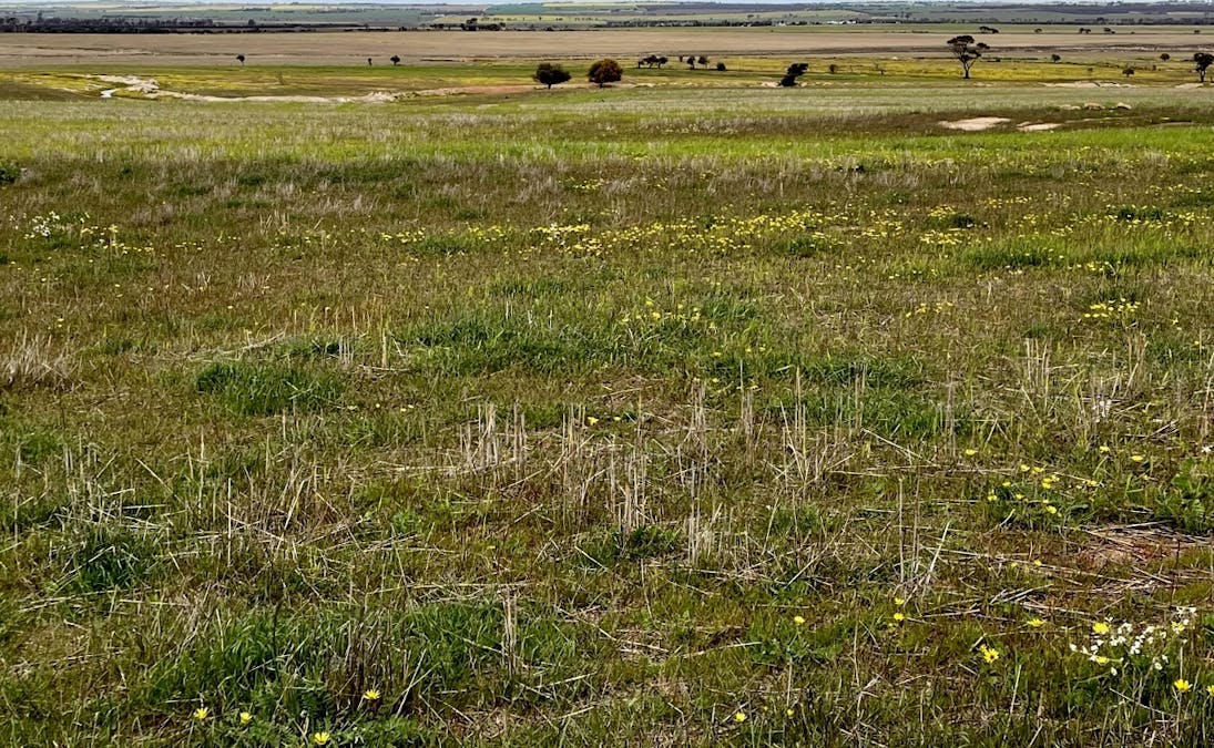 Lot 11505 Bungulla Road, North Tammin, WA, 6409 - Image 17