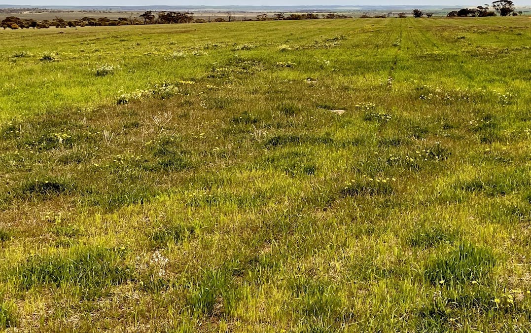 Lot 11505 Bungulla Road, North Tammin, WA, 6409 - Image 18
