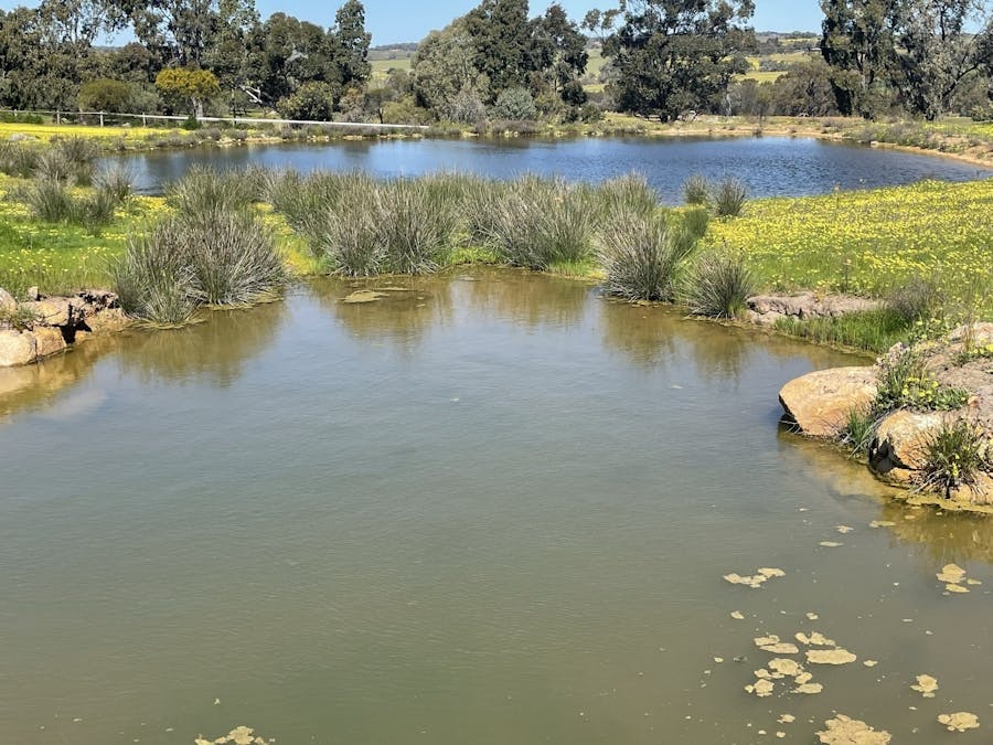3464 Great Southern Highway, York, WA, 6302 - Image 12