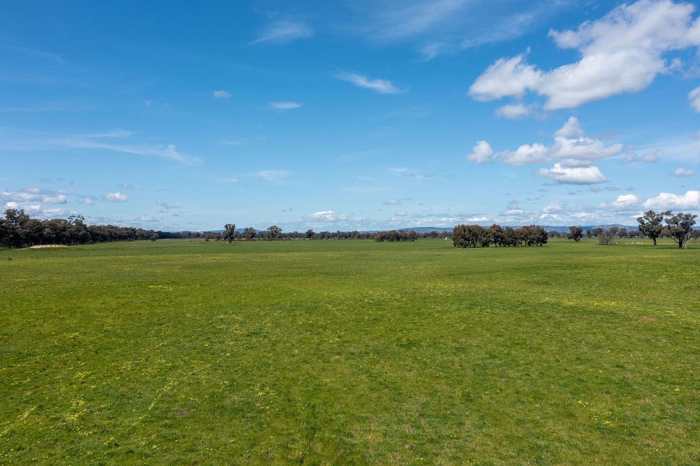 356 Longwood-Shepparton Road, Pranjip , Euroa, VIC, 3666 - Image 7