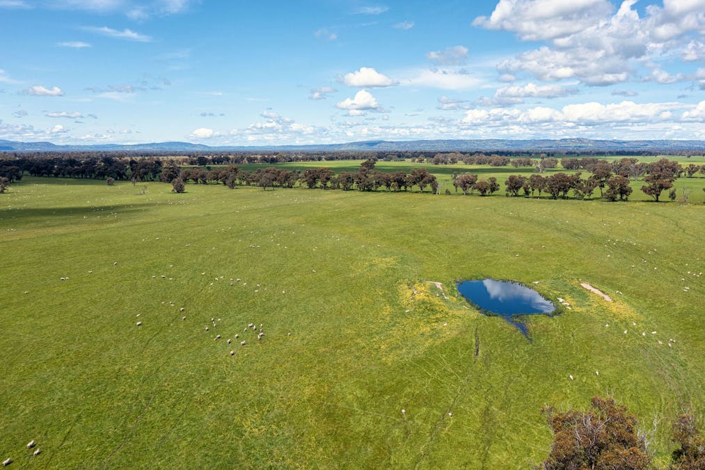356 Longwood-Shepparton Road, Pranjip , Euroa, VIC, 3666 - Image 9